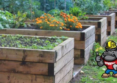 Raised Bed Vegetable Garden